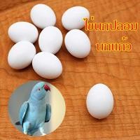 ราคา ไข่นกปลอมนกแก้ว ไข่ปลอม ใช้สำหรับทดแทนไข่จริง นกพิราบ ฟินส์ ฟอพัส หงส์หยก เลิฟเบิร์ด ค๊อกคาเทล กรีนชีค ถุง5ลูก (19089559232)