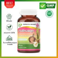 ราคา ว่านชักมดลูกผง 60 แคปซูล กระปุก บรรเทาอาการตกขาวผิดปกติ (25010900919)