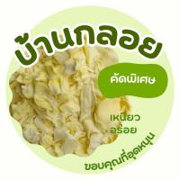 ราคา กลอยสด กลอยข้าวเหนียว ขนาด 1 กิโลกรัม สะอาด ไม่เบื่อ ไม่เมา มีพร้อมส่ง (22611399917)