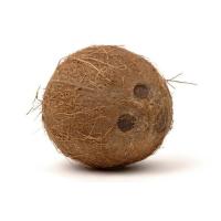 ราคา กะลามะพร้าว แบบเต็มลูกแห้ง ไม่มีน้ำ ทำงานประดิษฐ์ต่างๆ 1ชุดมี 5 ลูก 90 บาท (21680255284)