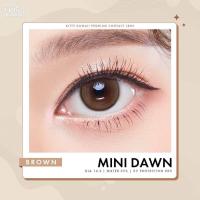 ราคา คอนแทคเลนส์ Mini Dawn Brown Gray Light Brown ยี่ห้อ Kitty Kawaii ค่าสายตาปกติ 700 (23987124311)