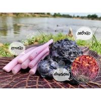 ราคา เหง้าบัวแดง บัวกินสาย 1 กก เพาะต้นอ่อน ปลูกกินสายบัว (19205898564)