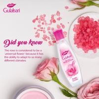 ราคา น้ำตบกุหลาบ ผิวใส Dabur Gulabari Rose Water (16157902545)