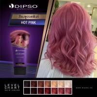 ราคา dipso color wax ครีมเปลี่ยนสีผม ขนาด150ml (17795142727)