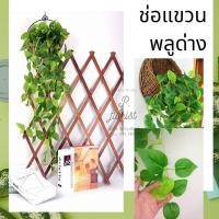 ราคา ช่อแขวนพลูด่าง พลูด่าง พลูด่างปลอม ช่อใบไม้ย้อย ใบพลูด่างย้อย ดอกไม้ปลอม ช่อไม้เลื้อย ตกแต่งบ้าน TS 17678 พร้อมส่ง (6379662894)