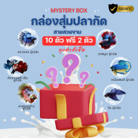 ราคา กล่องสุ่ม ปลากัด ปลากัดสวยงาม ลุ้นขนาดโตเต็มวัย ซื้อ 10 แถม 2 ฟรีทันที มีโอกาสลุ้น ปลาสายป่าสวยงามอีกด้วย สั่งเลย (23457166737)