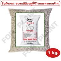 ราคา ปุ๋ย สูตร 16 20 0 ตรากระต่าย เเบ่งบรรจุเริ่มต้นที่ 1 กก 2 กก 5 กก 10 กก 15 กก บำรุง ราก ปุ๋ยเร่งต้น ใบ ดอก ผล ใส่ผัก ผลไม้ ไม้ดอกไม้ประดับ (10727636693)