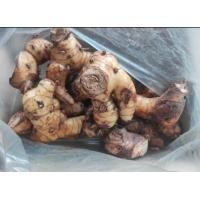 ราคา ข่าสด คุณภาพดี 1กก มีแบบแก่และอ่อนให้เลือก (23140514948)