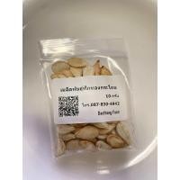 ราคา เมล็ดฟักทองกระโถน ฟักทองน้ำเต้า ฟักทองโบราณ (23601221713)