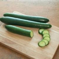 ราคา เมล็ดพันธุ์ แตงกวา ยูนากิ Unagi Cucumber F1 Seed บรรจุ 10 เมล็ด คุณภาพดี ราคาถูก ของแท้ 100 (7489410262)