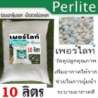 ราคา New เพอร์ไลท์ Perlite ขนาด 5 10 ลิตร แบ่งจากกระสอบใหญ่ ขนาดเม็ด 4 8 มม คุณภาพสินค้านำเข้า (9973498725)