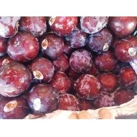 ราคา ลูกพลัม 1 kg ประมาณ9 12ลูก กก (14758162659)