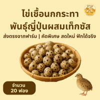 ราคา ไข่เชื้อนกกระทา 20 ฟอง สดใหม่ทุกวัน นำไปฟักในตู้ฟักไข่ (24692082161)