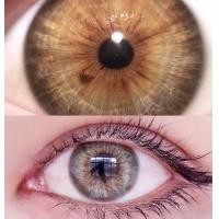 ราคา คอนแทคเลนส์ DNA Brown Gray ยี่ห้อ Wink Wow ค่าสายตา 700 (24542385126)