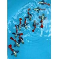 ราคา อาหารปลาหางนกยุงเมทัลเลทเรทเกรดA คู่ผู้เมีย metal snakski red lace guppy สายท้อปวิว หูช้าง ฟูเรท อาหารปลา koiguppy ส่งไวใน24ชั่วโมง (24636746630)