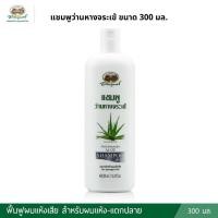 ราคา ล็อตใหม่ อภัยภูเบศร แชมพูและครีมนวดอัญชัน แชมพูและครีมนวดว่านหางจระเข้ แพคเกจใหม่ ขนาด 300 มล 1 ขวด (22664492002)