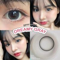 ราคา คอนแทคเลนส์ บิ๊กอาย รุ่น Dreamy สีเทา gray มีค่าสายตา 0 00 10 00 (15481254983)