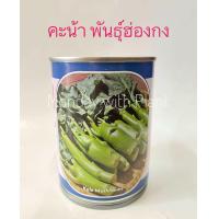 ราคา เมล็ดคะน้า คะน้าฮ่องกง คะน้าหวาน คะน้าหวานเห็ดหอม คะน้าเห็ดหอม คะน้า ผักคะน้า ตราลูกโลก 60 กรัม Kale Mushrooms (21693452784)