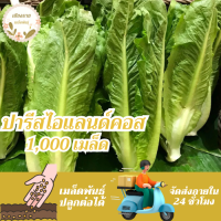 ราคา เมล็ดพันธุ์ ผักสลัด ปารีสไอแลนด์คอส 150 เมล็ด Parris island Cos Lettuce Seed เมล็ดพันธุ์แท้ นำเข้าจากต่างประเทศ โตไว (24407987230)