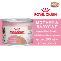 ราคา 1กระป๋อง Royal Canin Baby Cat Can อาหารชนิดเปียก แบบกระป๋อง ขนาด 195 กรัม (20781605708)