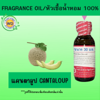 ราคา หัวน้ำหอม100 แคนตาลูป Cantaloup (21806861140)