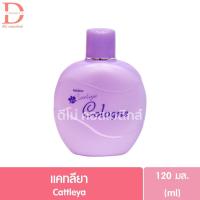 ราคา มิสทิน โคโลญจน์ บอดี้ สแปลช 120มล Mistine Cologne Body Splash (24543760724)