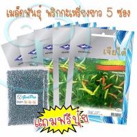 ราคา เมล็ดพันธุ์พริกกะเหรี่ยงยาว 5 ซอง แถมปุ๋ยฟรี (214712010)