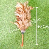 ราคา ไม้ปัดขนไก่ปัดฝุ่นทั่วไป ไม้ขนไก่ธรรมชาติ ปัดฝุ่นรถยนต์ (16442371453)