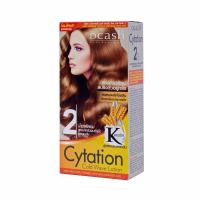 ราคา Dcash professional master ไซเทชั่น น้ำยาดัด สูตร 2 ผมซ้ำเชื้อ 100 ml (4599752758)