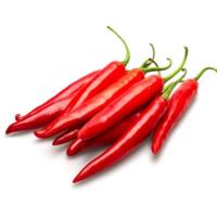 ราคา สดจากไร่ พริกชี้ฟ้าแดง สด สะอาด ราคา ถูก ส่ง (20994473593)