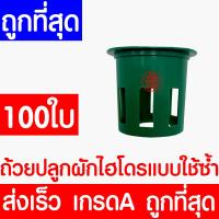 ราคา ค่าส่งถูก ถ้วยปลูกผัก 100ใบ ถ้วยปลูกผักไฮโดรโปนิกส์ ถ้วยปลูกผักไฮโดร ถ้วยปลูกขาว สีขาว แบบใช้ซ้ำ ไฮโดรโปนิกส์ ไฮโดร hydroponic hydro (24484357759)