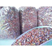 ราคา ปุ๋ยเคมี ปุ๋ยใส่ต้นไม้ 15 5 25 ทูเดย์ 1 5 kg ใส่ครั้งเดียวเขียวเป็นเดือน (11350317286)