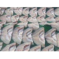 ราคา ปลานิลแดดเดียว ปลานิลเค็ม ทำสดใหม่ ชุด ครึ่งกิโล 500 กรัม (24470767071)