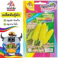 ราคา ขายปลีก เมล็ดพันธุ์ ผัก แพ็ค5ซอง ตราม้ารุ้ง Z110 ข้าวโพดสวีทหวาน ม้ารุ้งหวาน เมล็ดพันธุ์ เมล็ดผัก ผักซอง ม้ารุ้ง ผักสวนครัว (24516542418)