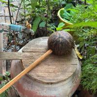 ราคา กระบวยตักน้ำ ทำจากกะลามะพร้าว งานฝีมือจากชาวบ้าน ขายถูก (24615425110)