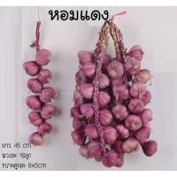 ราคา จำลอง กระเทียม หอมแดง แบบแขวน อาหารแห้งปลอม แขวนผนัง ผักปลอม งานสวยสมจริง สำหรับตกแต่งร้านค้า พร๊อพถ่ายภาพ Props (21904889934)