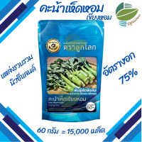 ราคา คะน้าหวาน คะน้าเห็ดหอม คะน้าฮ่องกง เชียงหอม ตราลูกโลก (22893568336)