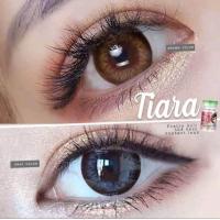 ราคา คอนแทคเลนส์ ลายธรรมชาติ Mini Tiara สีเทา ตาล gray brown ค่าสายตา 0 00 10 00 (16440052806)