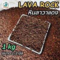 ราคา หินภูเขาไฟแดง หินลาวาแดง Red lava บรรจุถุง 1 กิโล ขนาด1 2 มิล วัสดุปลูก ผสมดินแคคตัส โรยหน้ากระถาง แคคตัส กระบองเพชร (19338596358)