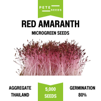 ราคา เมล็ดพันธุ์ ต้นอ่อน ผักโขมแดง Red Amaranth Sprout ไมโครกรีน Microgreens (22505044859)