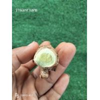 ราคา ว่านมหาเมฆ ครึ่ง1กก ให้เลือก เนื้อเขียวอ่อนคนละตัวกับขมิ้นดำ หัวว่าน สมุนไพร (17276117004)