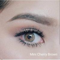 ราคา คอนแทคเลนส์ รุ่น Mini Cherry มีสีเทา ตาล ฟ้า เขียว Gray Brown Blue Green มีค่าสายตาปกติ 0 00 เปลี่ยนแทนทุกเดือน (17301848266)