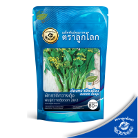 ราคา กวางตุ้งดอก กวางตุ้ง กระจ้อน กวางตุ้งดอกฮ่องกง Flowering Pak Choy กวางตุ้งฮ่องกง (23789434344)