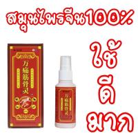 ราคา จัดส่งได้ทันที จิน กู่ หลิน สเปรย์สมุนไพร สูตรร้อน บรรเทาอาการแก้ปวด สเปรย์บรรเทาปวด แก้ปวดเมื่อยตามร่างกาย แก้ปวดหลัง ปวดคอ ฉีดเพื่อแก้ปวดหลัง (23410704277)