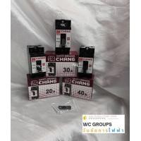 ราคา เบรกเกอร์ไฟฟ้า ตราช้าง CHANG 10A 15A 20A 30A 40A ชนิด HB 2P Safety Breaker ช้าง (23690307781)