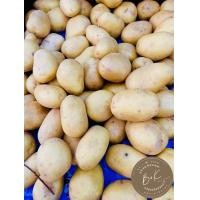 ราคา มันฝรั่ง มันฝรั่งสด มันนอก ลูกใหญ่ สดใหม่ ทำอาหารได้หลายเมนู ขนาด1kg (21438448702)