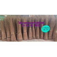 ราคา ก้านมะพร้าวแห้ง แบบ 1 กิโลกรัม ก้านไม้กวาดทางมะพร้าว ยาว 80 100 ซม (20552816946)