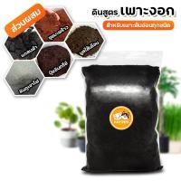 ราคา เมล็ดข้าวสาลี 500g 1000g เมล็ดหญ้าแมว สำหรับปลูกต้นอ่อนข้าวสาลี หญ้าหมา หญ้าแมว หญ้ากระต่าย หญ้ากระรอก คนทานได้ (13169947069)