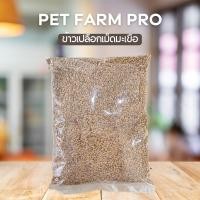 ราคา ข้าวเปลือกเม็ดมะเขือ สำหรับ นกเขาเล็ก นกเขาชวา นกเขาใหญ่ นกพิราบ ขนาดบรรจุ 1 kg (21359885573)