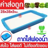ราคา ค่าส่งถูก ถ้วยปลูกผัก 100ใบ ถ้วยปลูกผักไฮโดรโปนิกส์ ถ้วยปลูกผักไฮโดร ถ้วยปลูกขาว สีขาว แบบใช้ซ้ำ ไฮโดรโปนิกส์ ไฮโดร hydroponic hydro (18463873738)